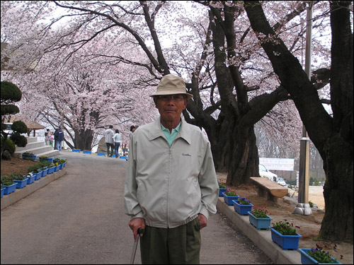 벚꽃이 활짝 핀 강화 강남고등학교입니다. 아버지 얼굴에도 꽃이 핀 거 같습니다. 